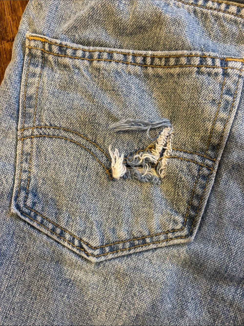 Vintage Levi 550 Jorts
